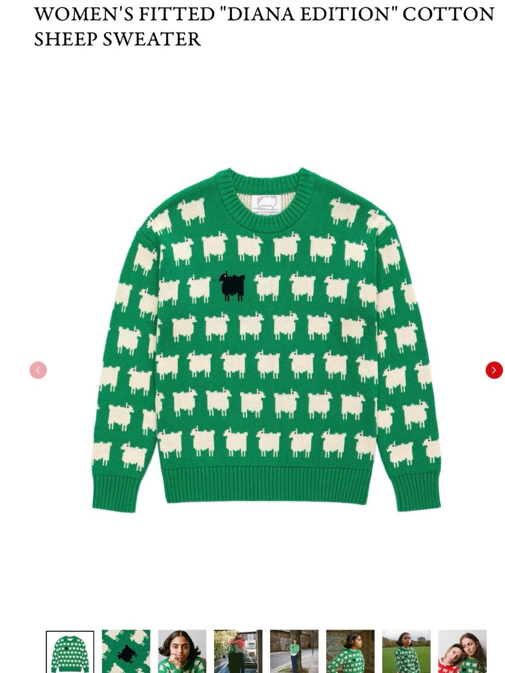 Warm & Wonderful’s Sheep Sweater in Green (sold by Rowing Blazers). Women‘s L
